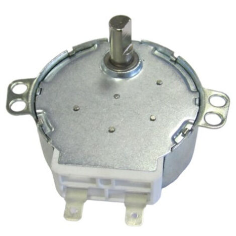 Motorino sincrono 4W 5RPM microonde 20TM29