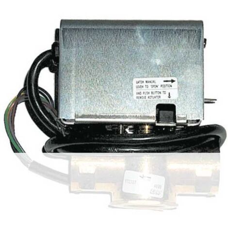 Motorino Syncron - 220V 50 Hz 00000R02275