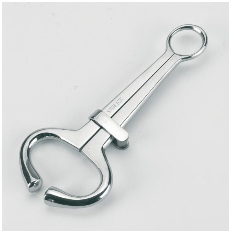 Mouchette à bovins grande taille