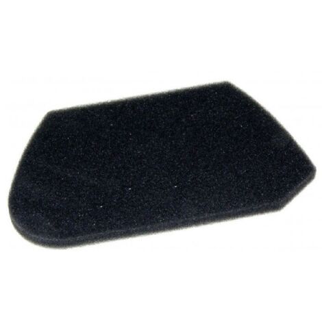 Moulinex ZR005501 Vakuumreinigerfilter