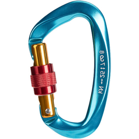 Mousquetons de Verrouillage, 2 Pièces 25 KN Robustes Avec Fermeture à Vis pour Escalade, Forme de D pour Plein Air, Camping, Hamacs, Laisse pour Chien