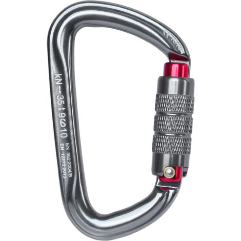 Mousquetons Escalade Métal Forme de D Verrouillage Automatique Anneau Porte-Clés pour Camping Pêche Randonnée Voyages