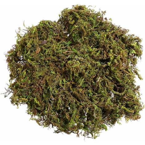 Mousse Artificielle Lichen Préservé Simulation de Décor Floral Fausses Plantes Vertes pour La Maison Jardin Patio Succulentes Artisanat Dressing Plantes en Pot Terrariums de