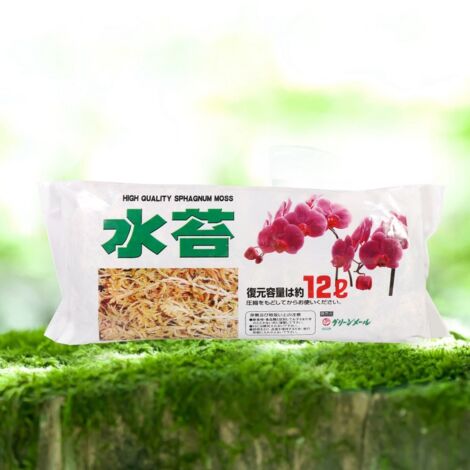Mousse de Sphagnum pour Orchidées Phalaenopsis - Engrais Organique Nutritif et Hydratant