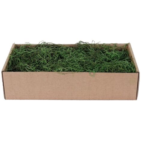 Mousse espagnole verte 500 gr