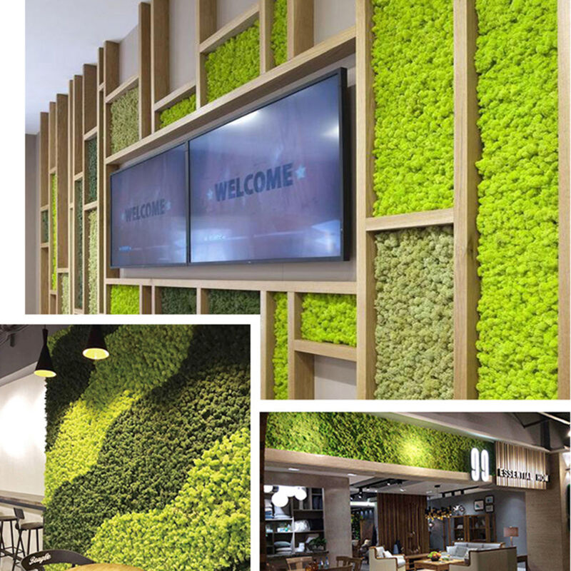 Treetalk - Mousse immortelle Mousse verte Micro Décoration de paysage, Mousse artificielle Décoration verte, Mousse de renne préservée, Mousse