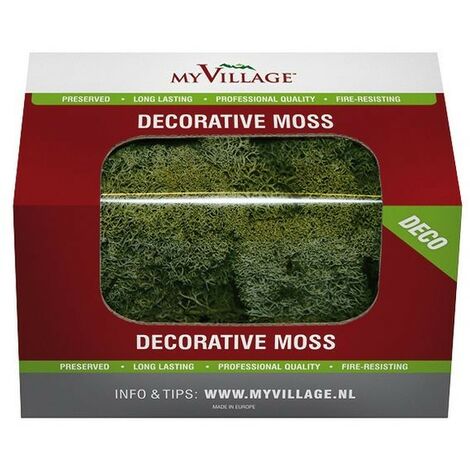 MYVILLAGE Mousse Lichen Vert Foncé 50 gr