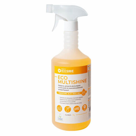 Mousse universelle pour le nettoyage de diverses surfaces Eco Shine 1L, 1 pièce.