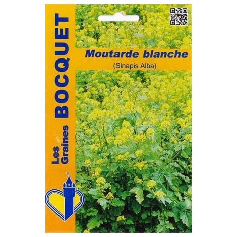 Moutarde blanche (Sinapis Alba) - 100g