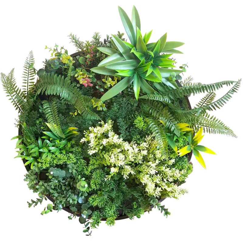 Mowgli - Tableau végétal avec cadre noir en aluminium, ø 50 cm