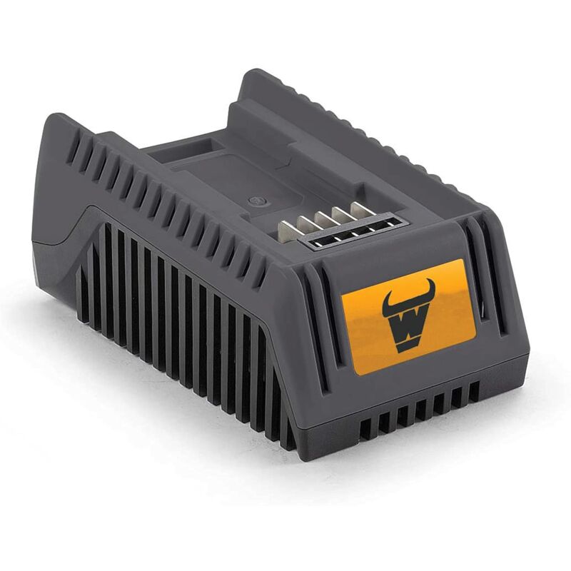 Chargeur pour batterie Mowox