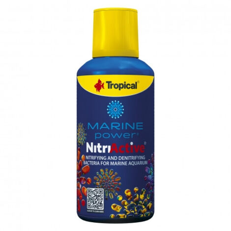 MP Nitri-Active 250 ml