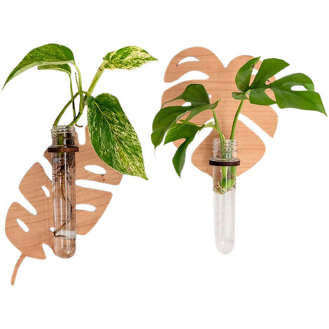 【ms8665 + ms8666】2 étagères murales en bois pour plantes vertes, décor original avec tubes plastiques