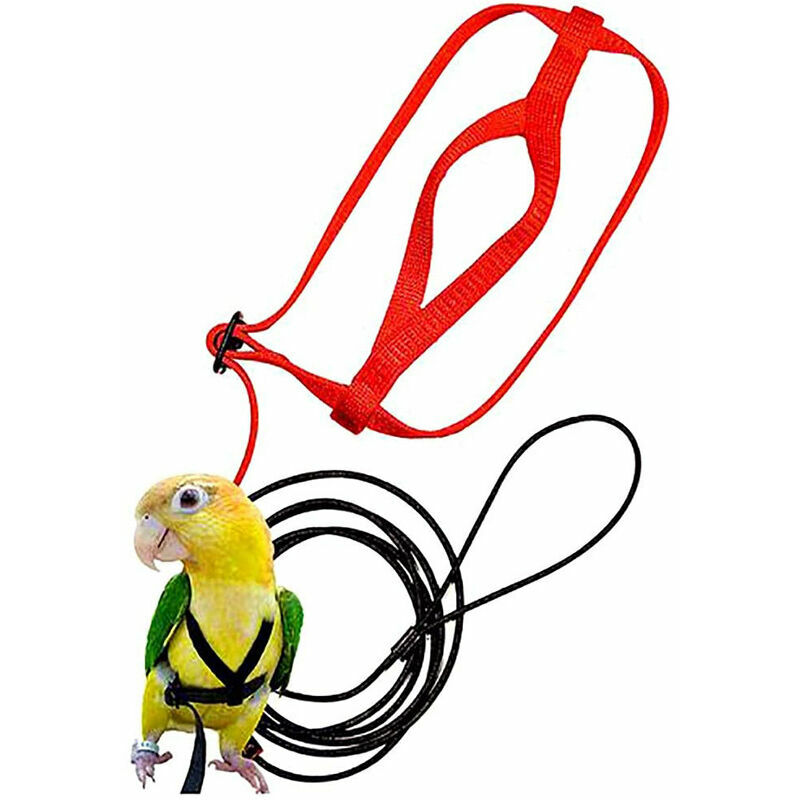 Msbd - Oiseau Harnais Réglable,Harnais et Laisse Réglables Anti-Morsure pour Oiseaux Perroquet Gris du Gabon cacatoès Collier Jaune Perruche