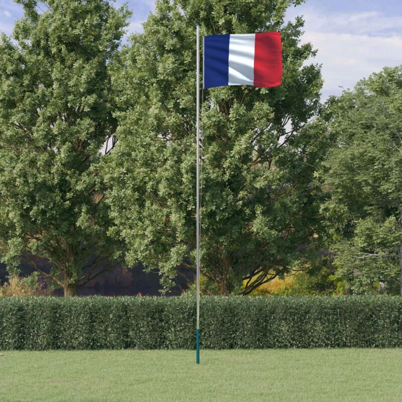 Vidaxl - Drapeau de la France et mât 6,23 m Aluminium