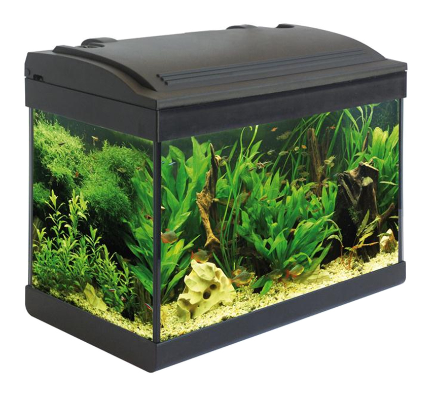 Mtb Acquari - Mtb Milo 30 Cubik Ledline Bianco - Acquario 24L ...