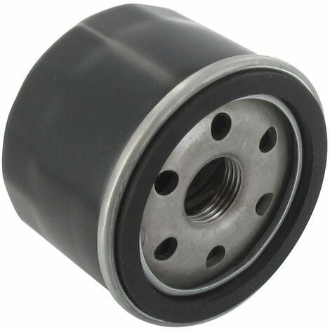 Filtre à huile MTD 75112690