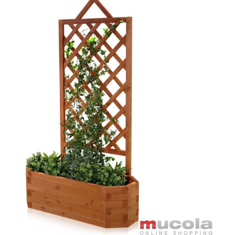Mucola – Arche de jardin en bois d'épicéa 86x38x150cm – Pour plantes grimpantes – Résistante aux intempéries – Kit de montage inclus