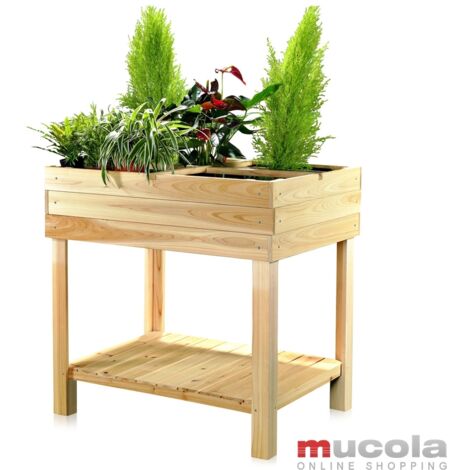 Mucola – Carré potager en bois 80x60x80 cm – 4 compartiments pour fleurs et légumes – Bois d'épicéa résistant aux intempéries – Design compact