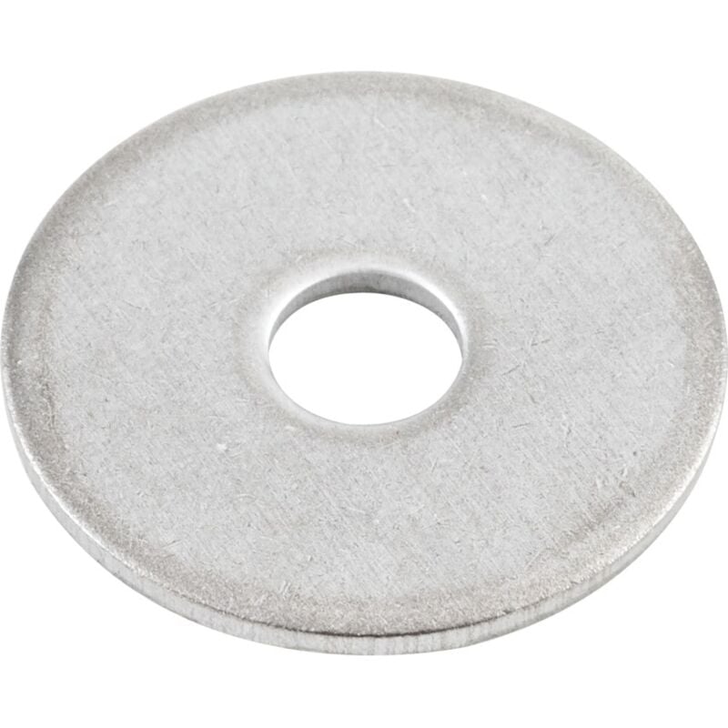 M6X25X1.5 Mudguard/Repair/Penny Washer A4- you get 25 - Qualfast