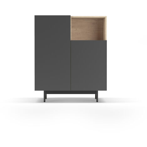 Mueble aparador en melamina, colección PRINTED (602-1), con 2 puertas, en roble y grafito