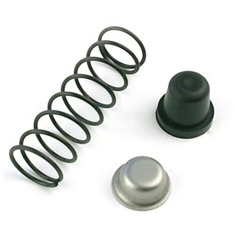 MUELLE+TOPE+TAPON 5172B JUEGO