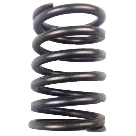 BASICPARTS MUELLE VALVULA 160