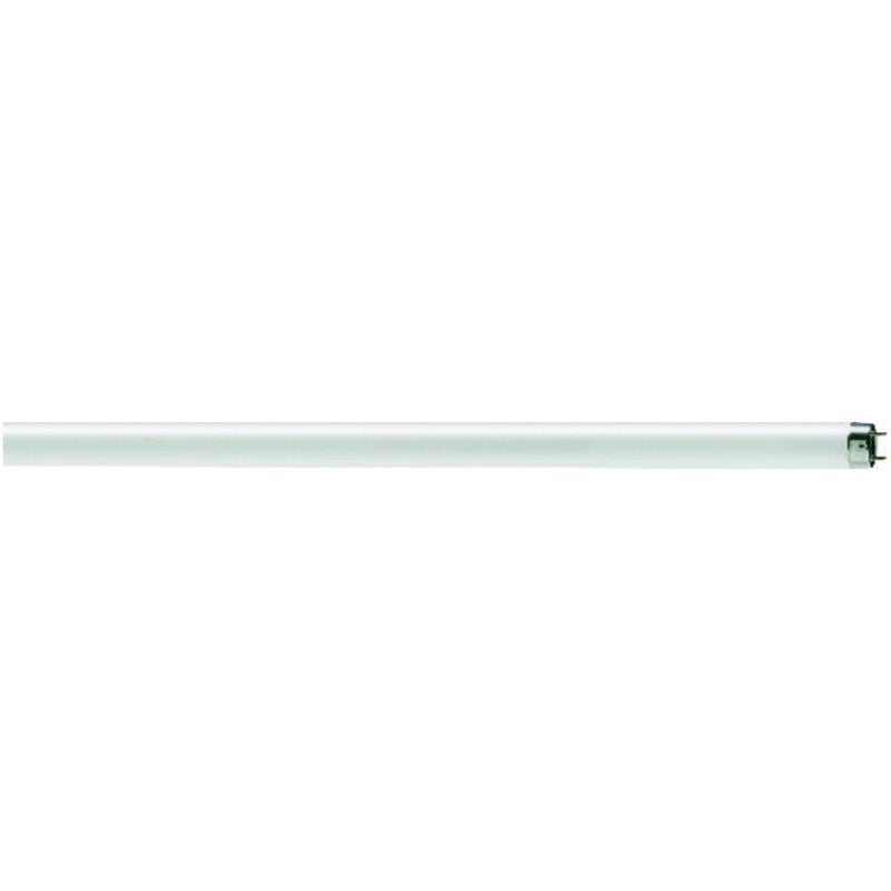 FP - müller licht T8 Leuchtstofflampen 58W G13 5250lm 840 150cm 24 Stk