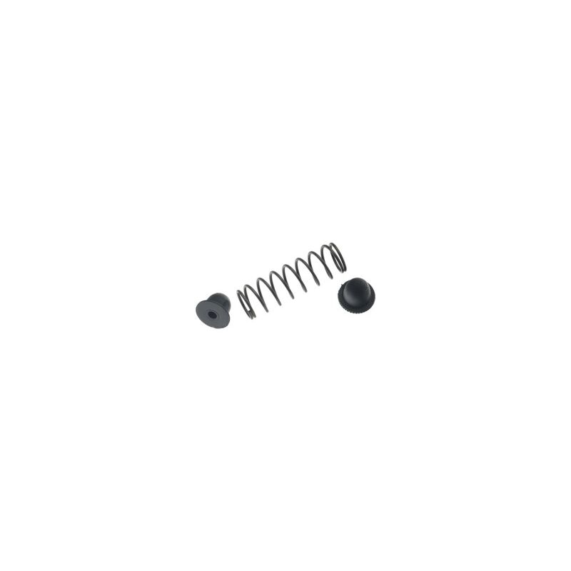 

Muelle+tope r-1080 ( p/p5)