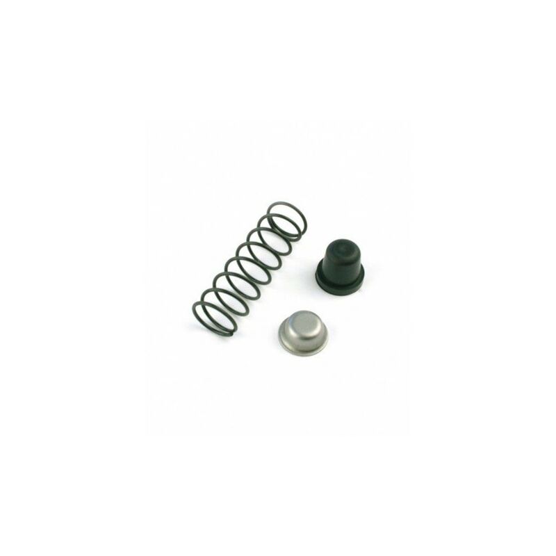 

Conjunto Muelle-Tope 5172-5411-B