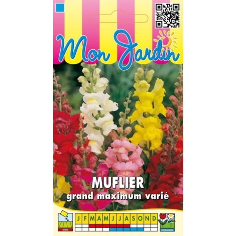 Muflier grand maximum varié - 0,5g