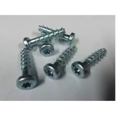 MULTI MONTI HECO 631A TESTA CILINDRICA ZINCATO  MM. 6X 30