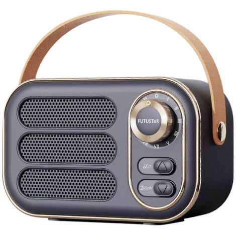 Multifunktionaler Mini-Lautsprecher mit FM-Radio, Bluetooth, USB, TF und AUX-Anschluss für drinnen und draußen im Retro-Design