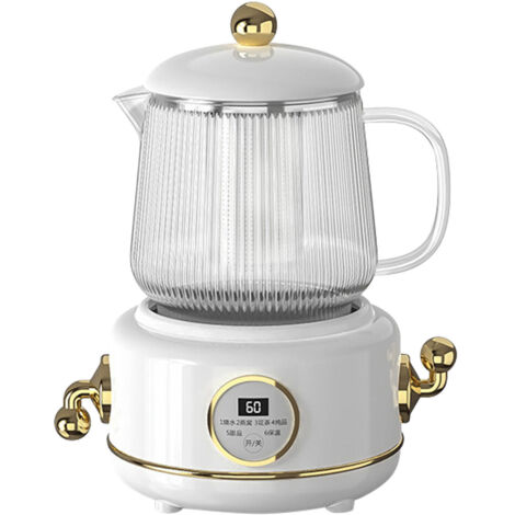 Multifunktionaler Wasserkocher aus Edelstahl und Glas für Zuhause und Büro, 220 V