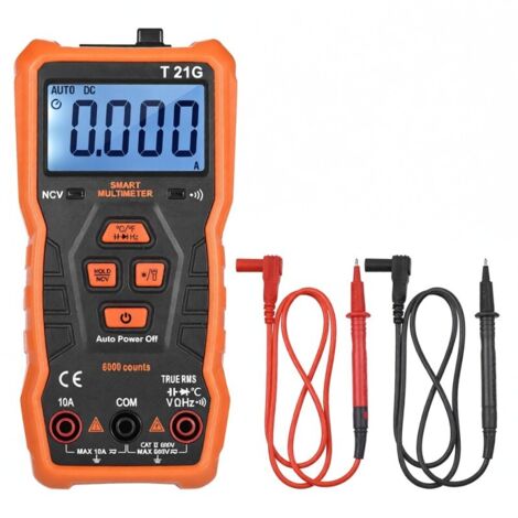 Multimètre intelligent miniature NJTY T21G, 6000 points, True RMS, CATII 600 V, voltmètre à adsorption magnétique, ohmmètre, NCV, ACV, DCV, courant, température, résistance, capacité, buzzer.