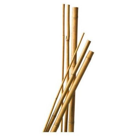 Multitanks – Lot de 10 tuteurs en bambou 120 cm – Diamètre 6-8 mm – Résistant aux intempéries – Écologique et léger pour soutien de plantes