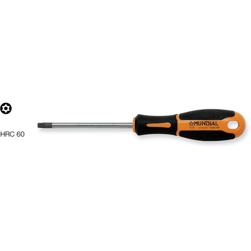 Giravite per viti torx con FOROTX45X125 - Mundial