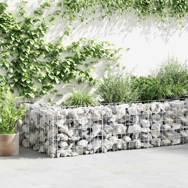 Mur en gabion Clôture de gabion Gabion pour Pierres Acier galvanisé 630 x 30 x 50 cm 42774
