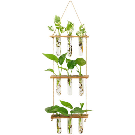 Mur Muroir pour plantes avec 9 tubes en verre, M-MW703, bois naturel vintage, station de propagation décorative pour mur de bureau