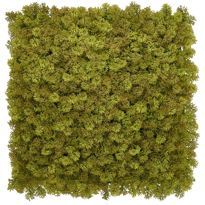 Mur végétal artificiel - Panneau de mousse vert armée - 100x100 cm