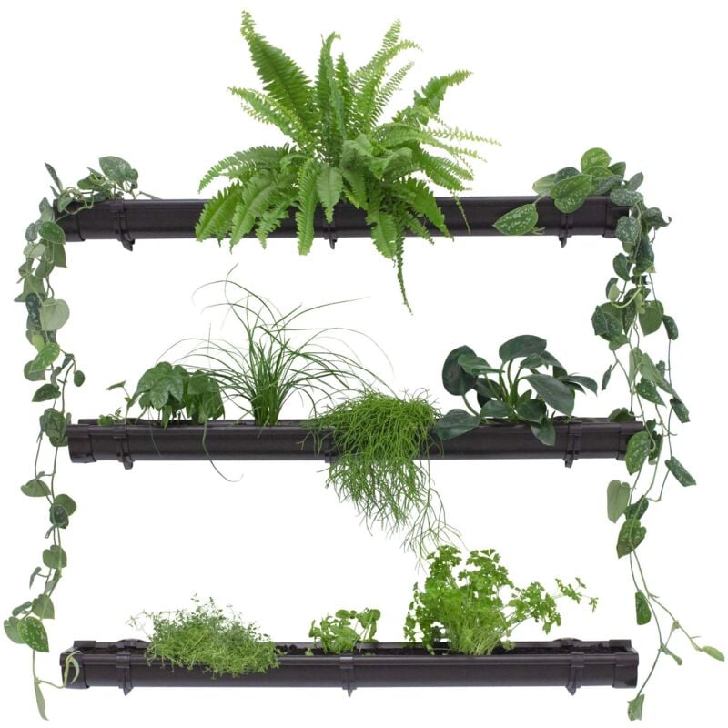 Mur végétal vert, jardin vertical 3 x 1m, aménagement de jardin peu encombrant, étagère pour plantes d'intérieur et d'extérieur - Brun foncé