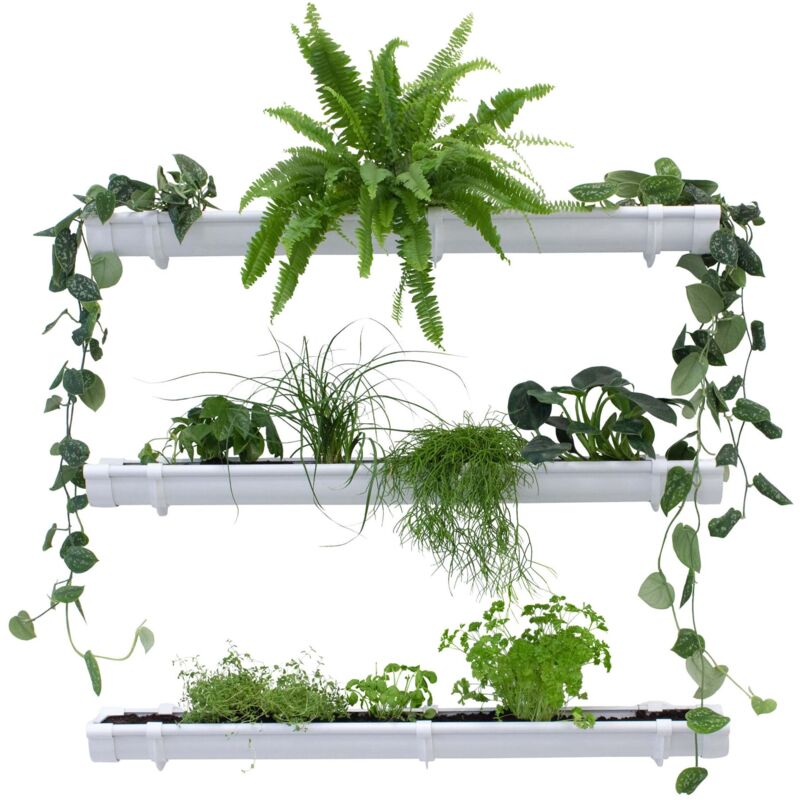 Mur végétal vert, jardin vertical 3 x 1m, aménagement de jardin peu encombrant, étagère pour plantes d'intérieur et d'extérieur - Blanc