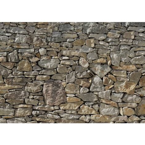 Mural fotográfico Stone Wall 368x254 cm 8-727 Komar - Marrón