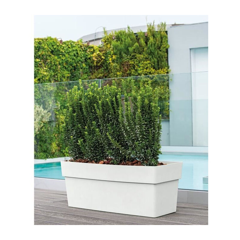 Muret like r - Hauteur 99 cm - Blanc Deroma