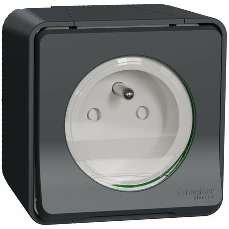 Mureva - prise de courant 2P+T NF - gris - en saillie - IK08 IP55 - MUR36030