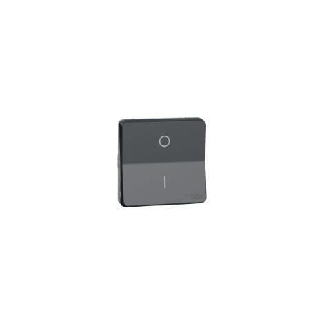 Mureva Styl - Interrupt bipolaire - composable - IP55 IK08 - connex  - MUR35034