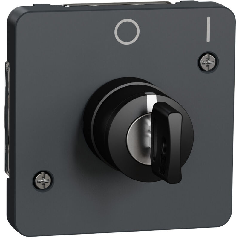 Schneider Electric - Mureva Styl Interrupteur à clé 2 positions composable IP55 IK07 gris schneider MUR35062
