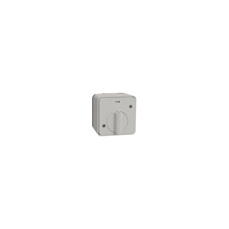 Schneider Electric - Mureva Styl - Interrupteur temporisé led - saillie - IP55 - IK08 - blanc - MUR39067