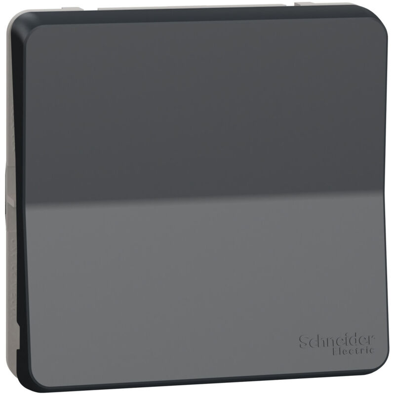 Schneider Electric - Permutateur gris mureva styl composable avec connexion auto, IP55 et IK08 Ref.MUR35020 Schneider Electric - Permutateur gris mureva styl composable avec connexion auto, IP55 et IK08 Ref.MUR35020