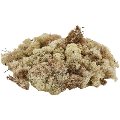 Muschio lichene tappeto naturale per presepe decorazione natalizia da 1kg -Verde Scuro